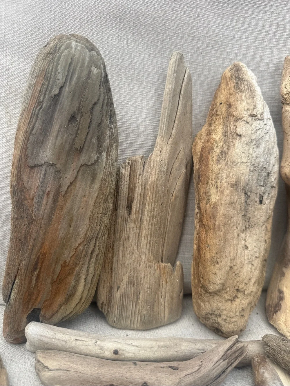 34 Pc (5lbs shipped) Box of beach Natural Driftwood Pieces for craft or decor
